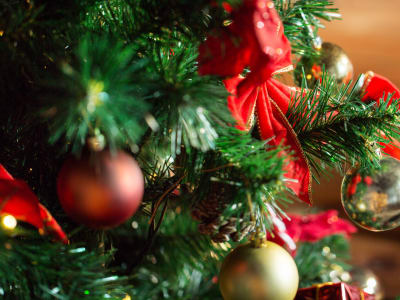 BigHorn will deliver the beautifully decorated trees to the winning bidders.