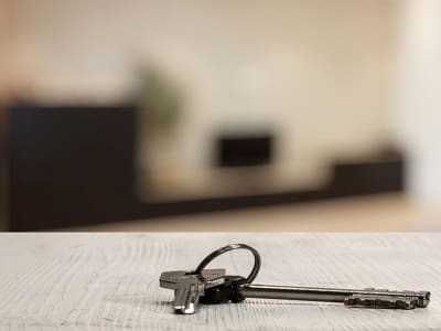 Enter The Moving Zone by being prepared for a last minute move with this moving checklist.
