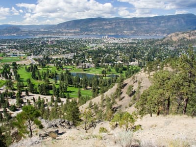 Vernon movers can help you move a lighter load within the Okanagan.