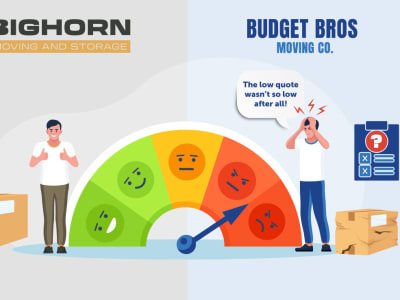 Gear up for moving day by being aware of your options. 