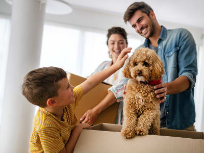 Don’t let Fido get under your movers’ feet! There are plenty of small things you can do to prepare for when your movers arrive that will help the day go smoothly. 
