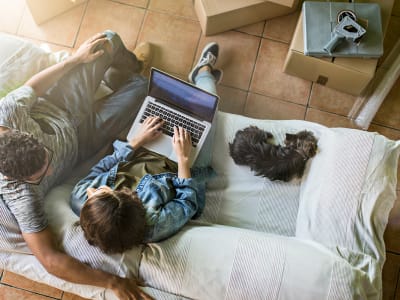 When planning your moving and storage schedule, be sure to make the necessary arrangements for your pets.