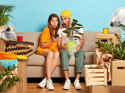Take a few extra precautions when moving plants.