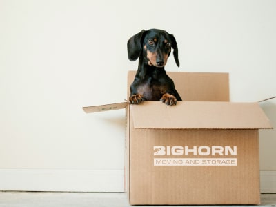 Use this checklist to compare affordable long-distance movers and spot vague long-distance moving estimates before you book.