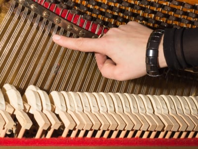 Keep the inside mechanics of your piano in fine tune by hiring professional piano movers.