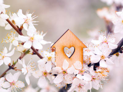 Don’t forget to stop and smell the flowers when cleaning your house and using our other spring moving tips.