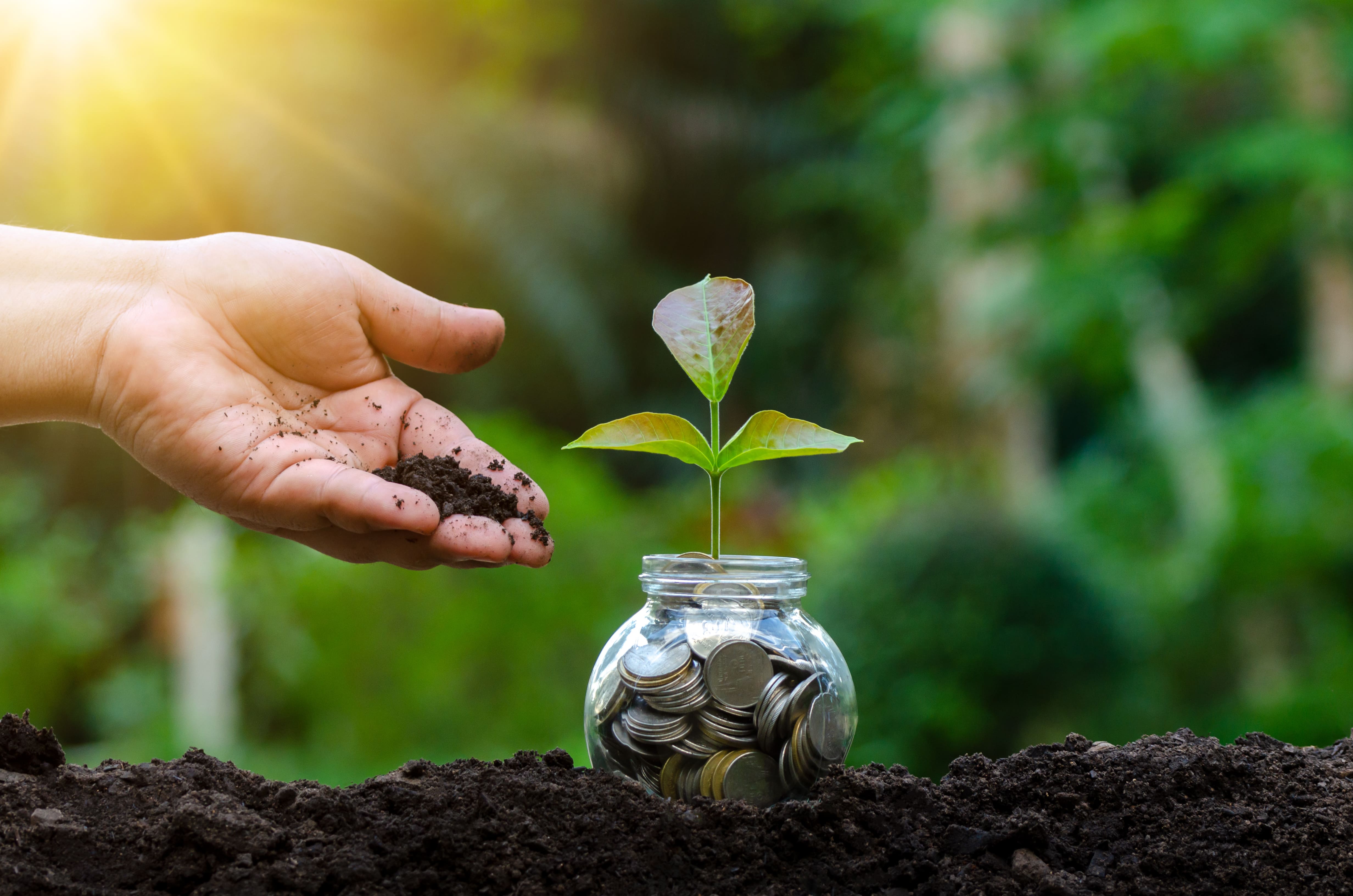 Investing isn’t just about returns—it’s about creating a legacy that reflects your values.