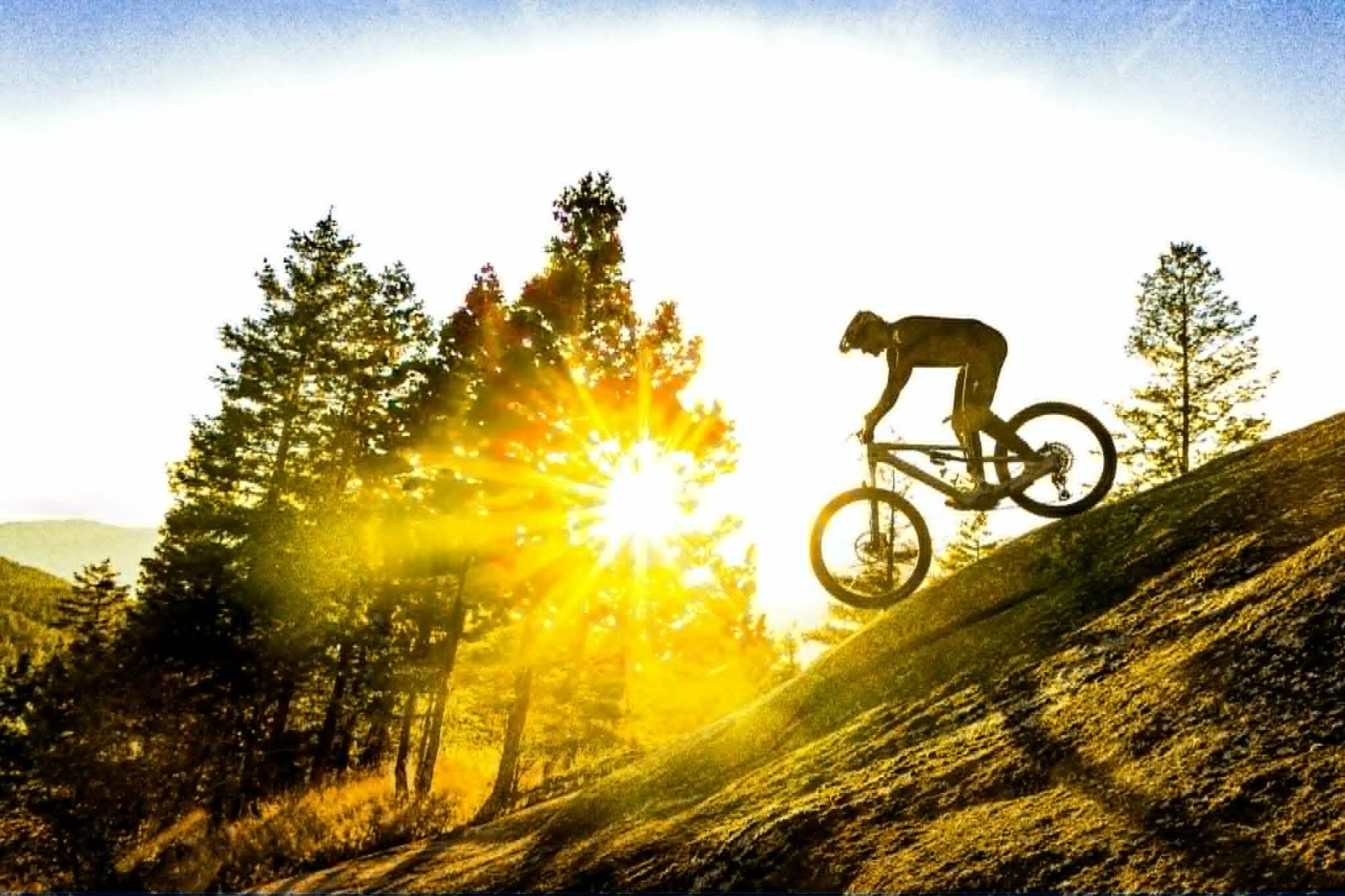 Silhouette of a mountain biker going off a rock drop at golden hour, sun bursting through pine trees on the left, Okanagan hills visible in the background Photo: Cody Cosens | Predator Ridge Trails