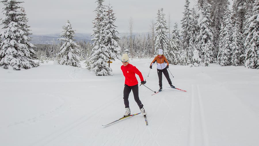 Cross Country Skiing, Nordic Skiing
