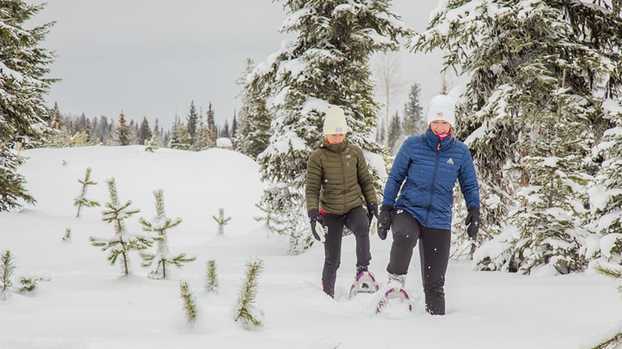 Getting started Snowshoeing in Kelowna has never been easier. Check out our handy guide then get out and enjoy the fresh air!