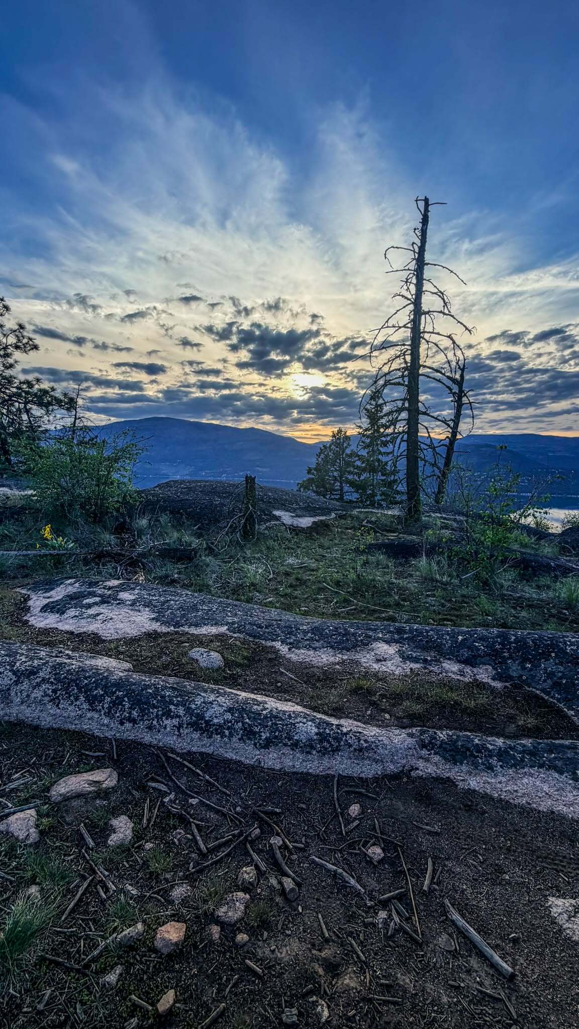 rock slab trail at predator ridge with a view of okanagan lake 