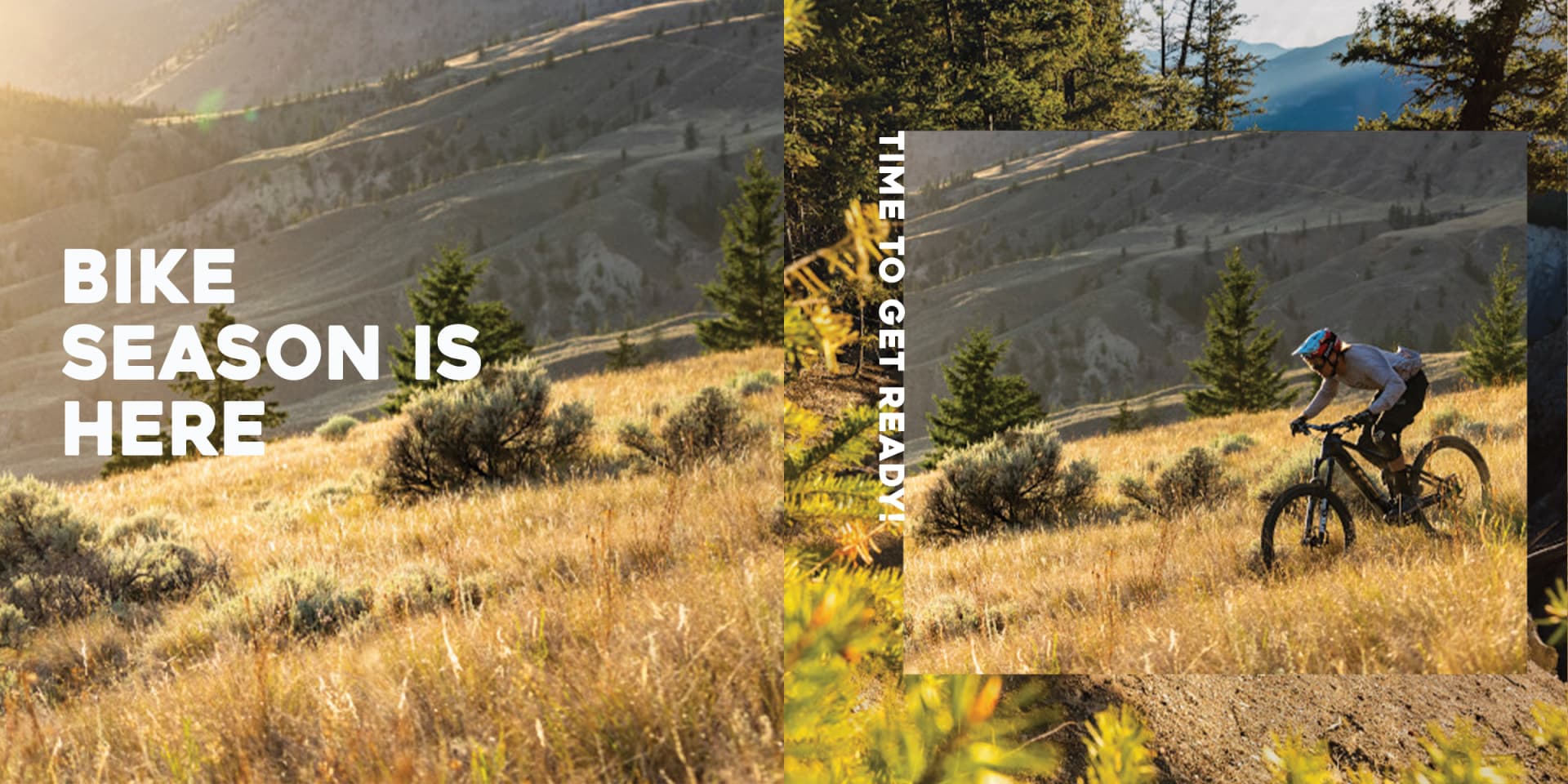 Kelowna's Bike, Run, Ski & Snowboard Store | Fresh Air