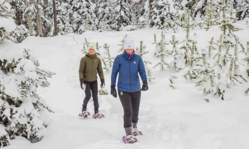 Explore With or Without Snowshoeing in Kelowna: Our Okanagan Winter Hiking Guide