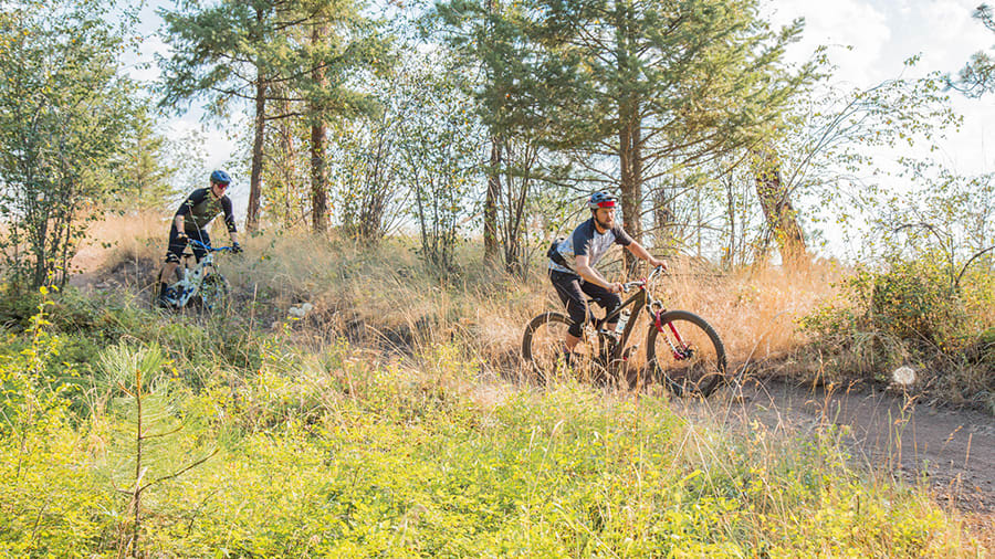 Buying first mountain sales bike