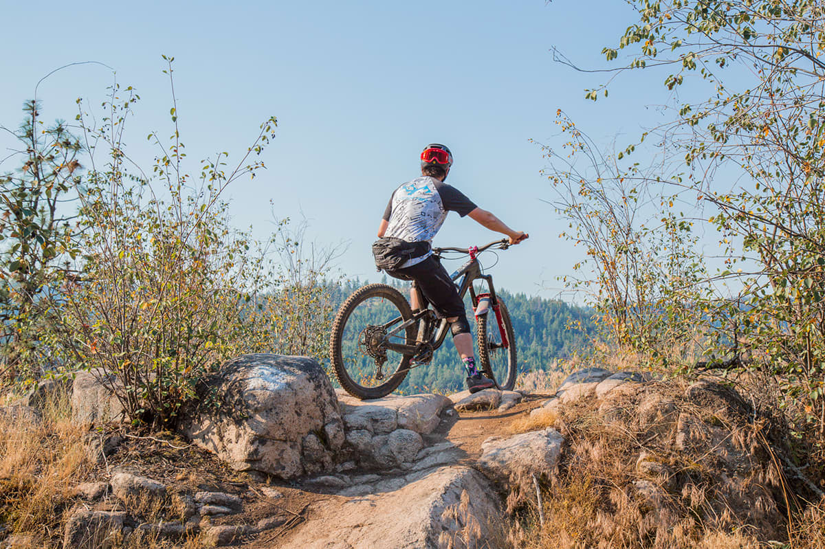 Events, trail updates—even bumble bees. Get the latest on all things mountain bikes at Big White and SilverStar.