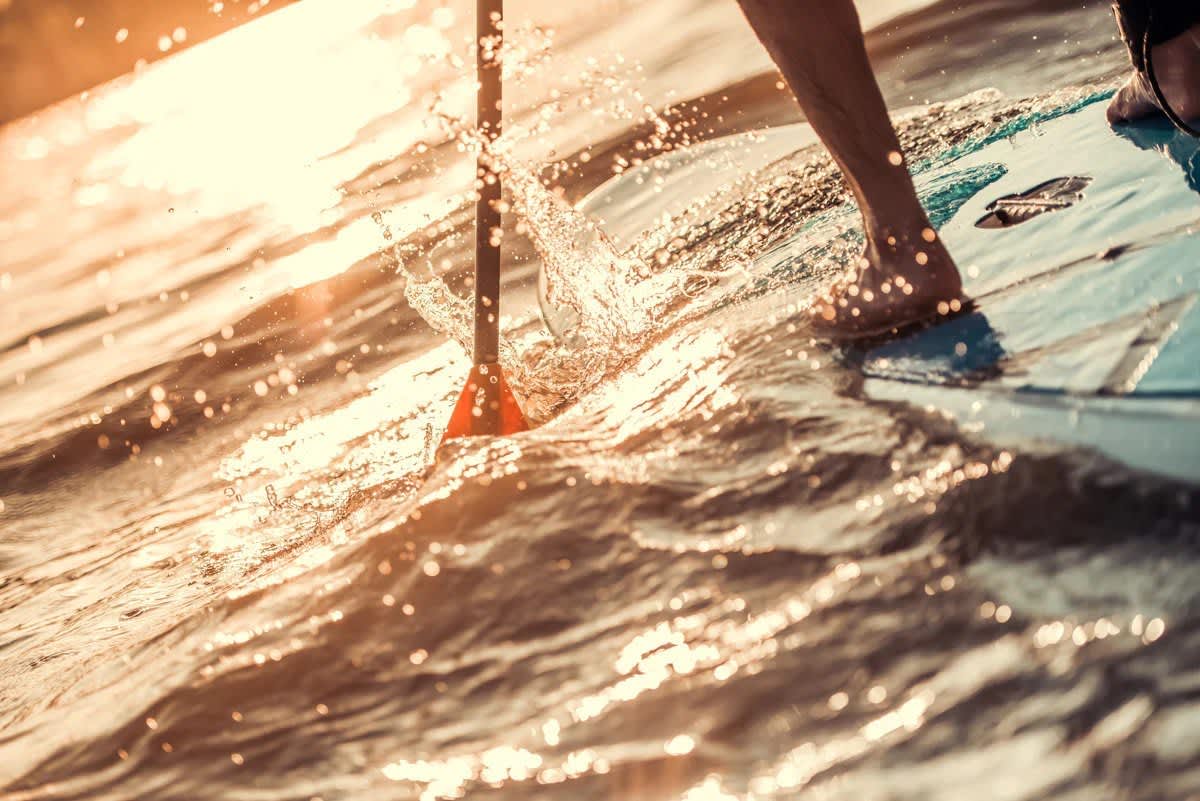 Paddle Board 101: New at the Fresh Air Shop