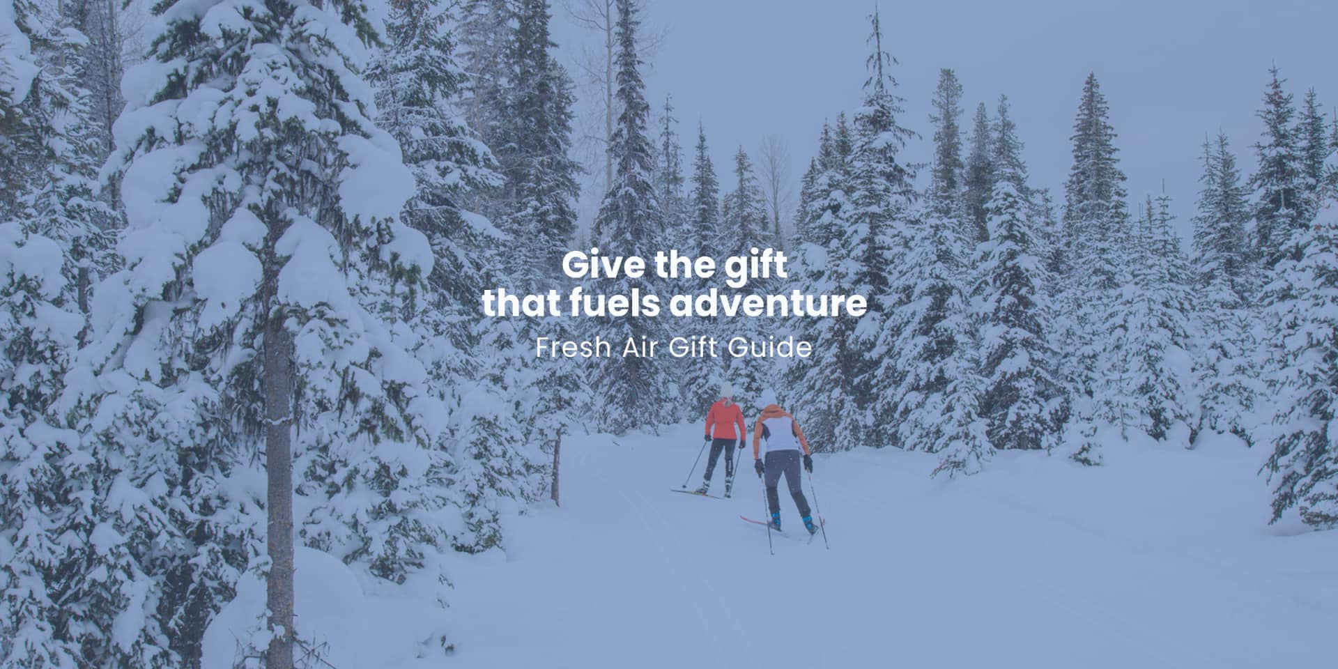 Kelowna's Bike, Run, Ski & Snowboard Store | Fresh Air