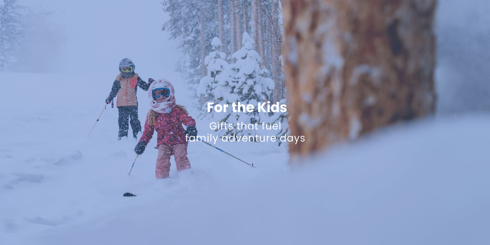 Kelowna's Bike, Run, Ski & Snowboard Store | Fresh Air