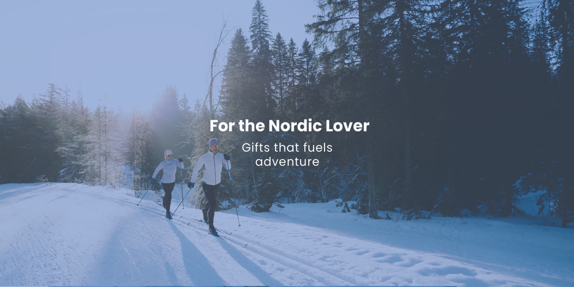 Kelowna's Bike, Run, Ski & Snowboard Store | Fresh Air