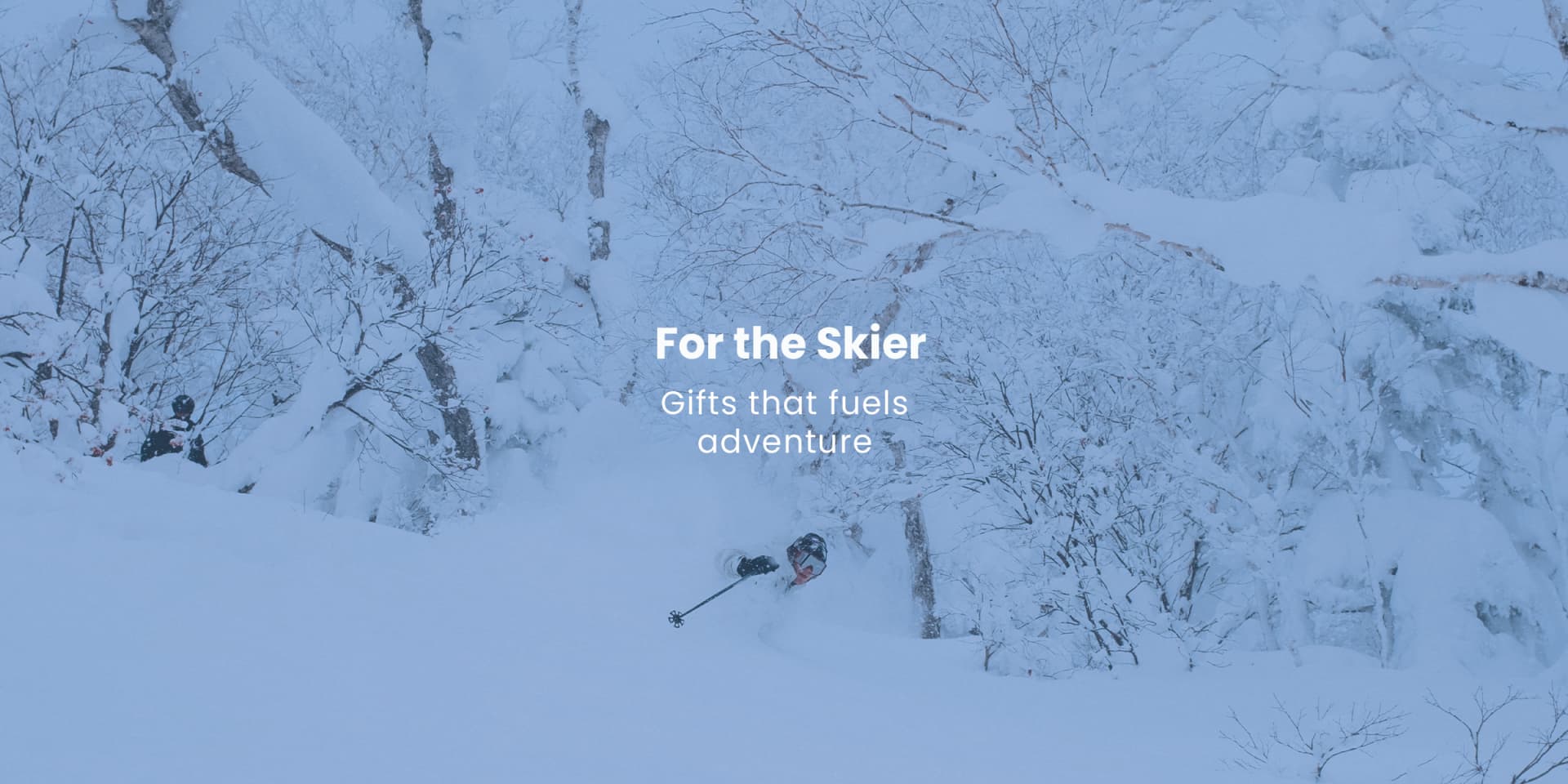 Kelowna's Bike, Run, Ski & Snowboard Store | Fresh Air