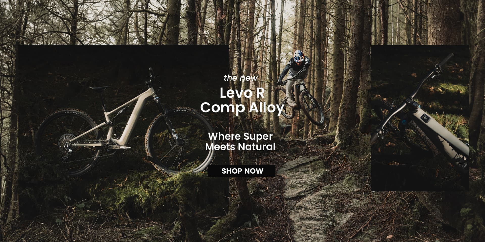 Kelowna's Bike, Run, Ski & Snowboard Store | Fresh Air