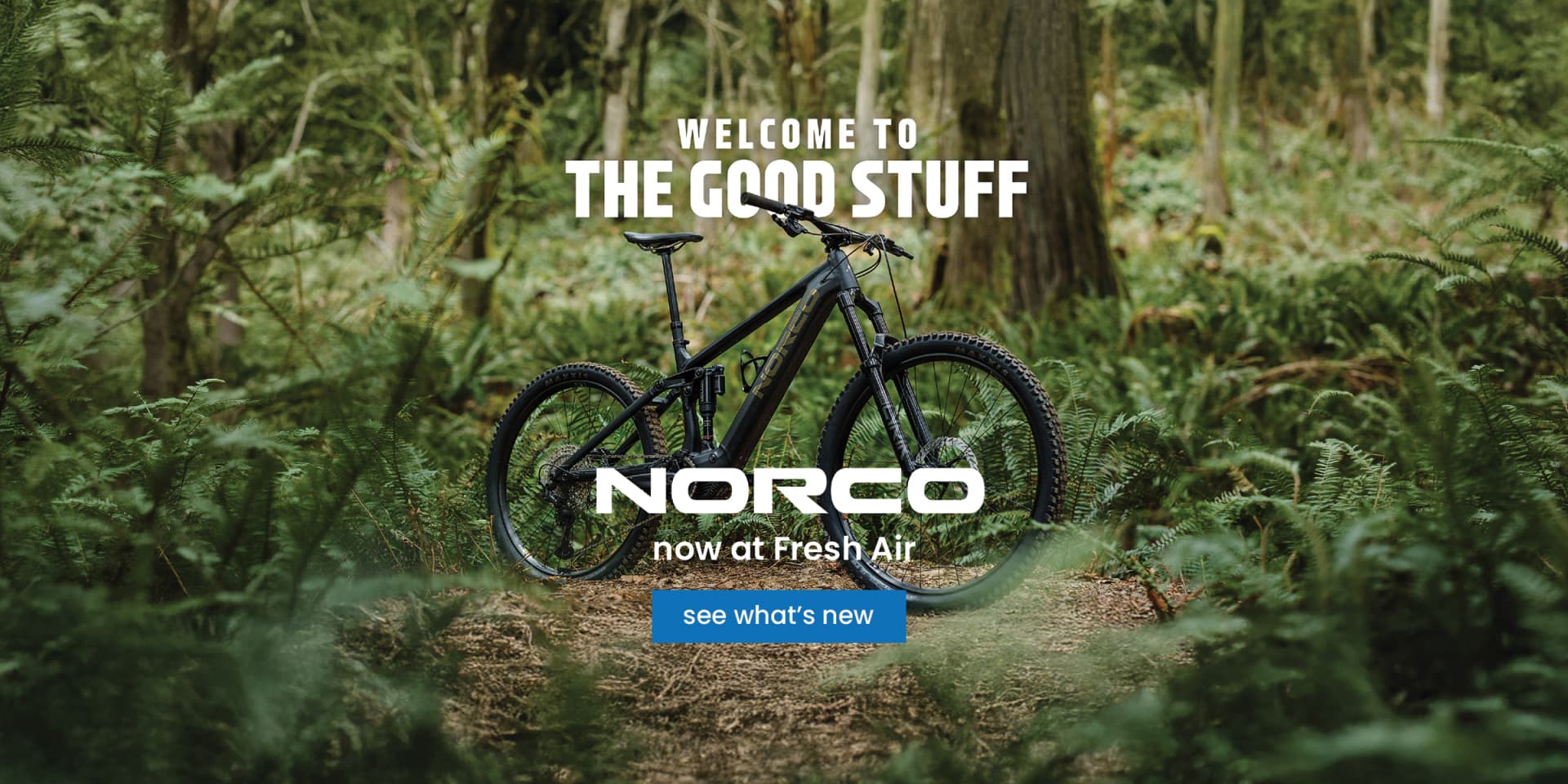 Kelowna's Bike, Run, Ski & Snowboard Store | Fresh Air