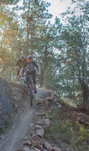 Bike Rentals