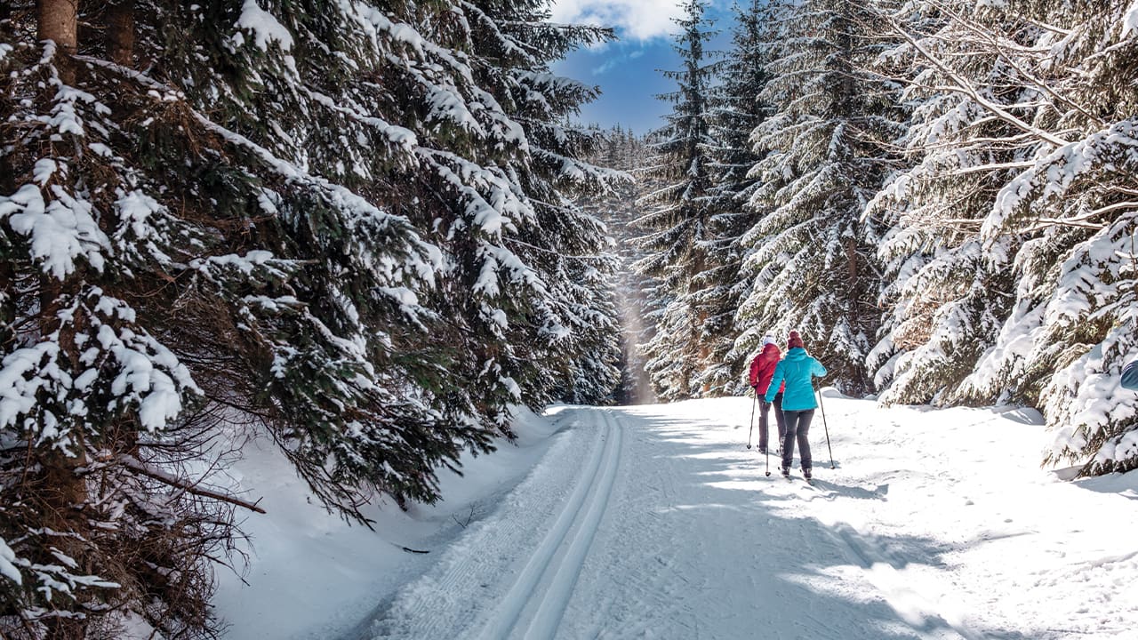 Fresh Air Mini Vlog 71: Kelowna Nordic Ski Swap – Gear Deals & Season Pass Savings