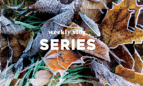 Fresh Air Kelowna Mini Vlog 9: Winter Season, Extended Hours, Exclusive Newsletter Sales