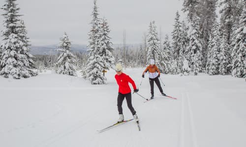 An Incredible Workout, Amazing Views, and Fun For the Whole Family: Why You Should Get On Cross Country Skis this Winter