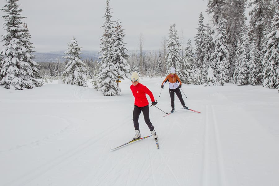 Whether for the workout, the views, or the family time, cross-country skis are one of the best ways to enjoy the outdoors this winter. 
