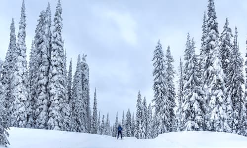 Your Okanagan Holiday Adventure Guide: Skiing, Ice Climbing, and Snowshoeing in Kelowna