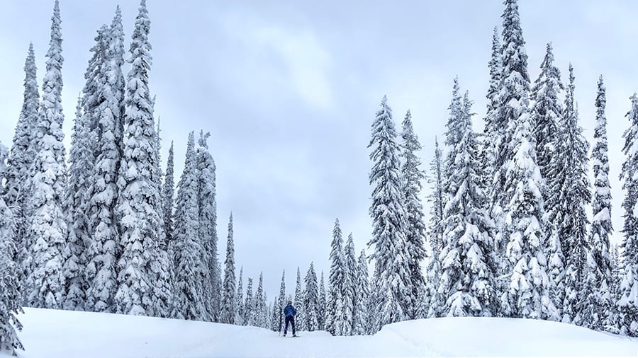 Your Okanagan Holiday Adventure Guide for Skiing, Ice Climbing, and Snowshoeing in Kelowna