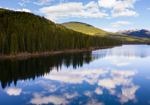 Top Team-Building Activities for Your Next Corporate Retreat