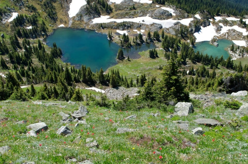 Explore nature and bond with your team on a thrilling hiking scavenger hunt through beautiful trails.