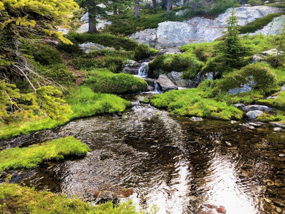 Take photos of the amazing scenery when Heli-Hiking with Keefer Lake Lodge