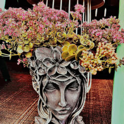 Roberta Fidalgo
