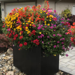 Darran And Tracy Light