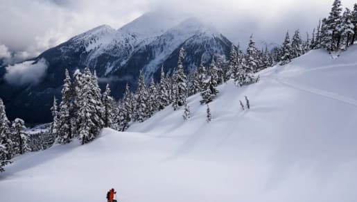 Why Heli-Skiing with Northern Escape MUST be on Your 2025 Bucket List!