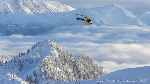 How Much Does Heliskiing Cost in Canada?