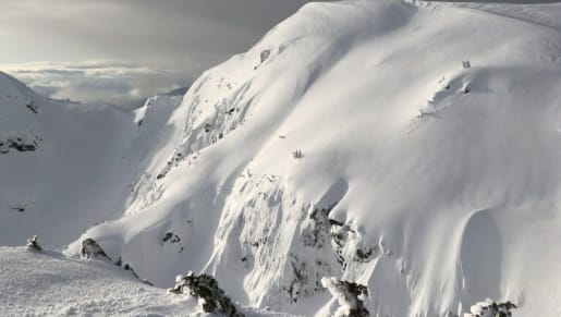 Local Freshies: Get To The Choppa!