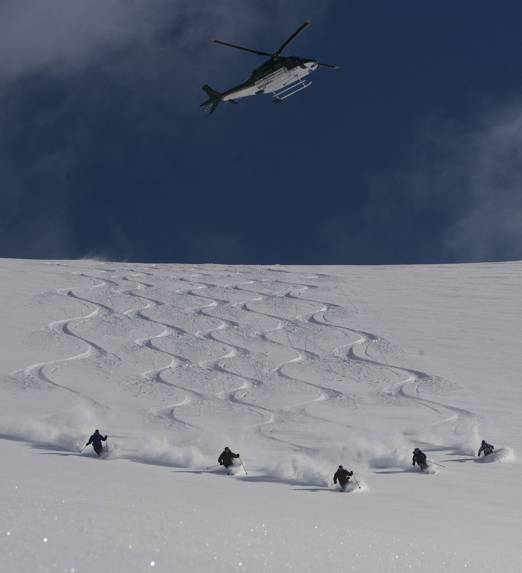 Synchronized powder turns—pure flow, speed, and exhilaration.