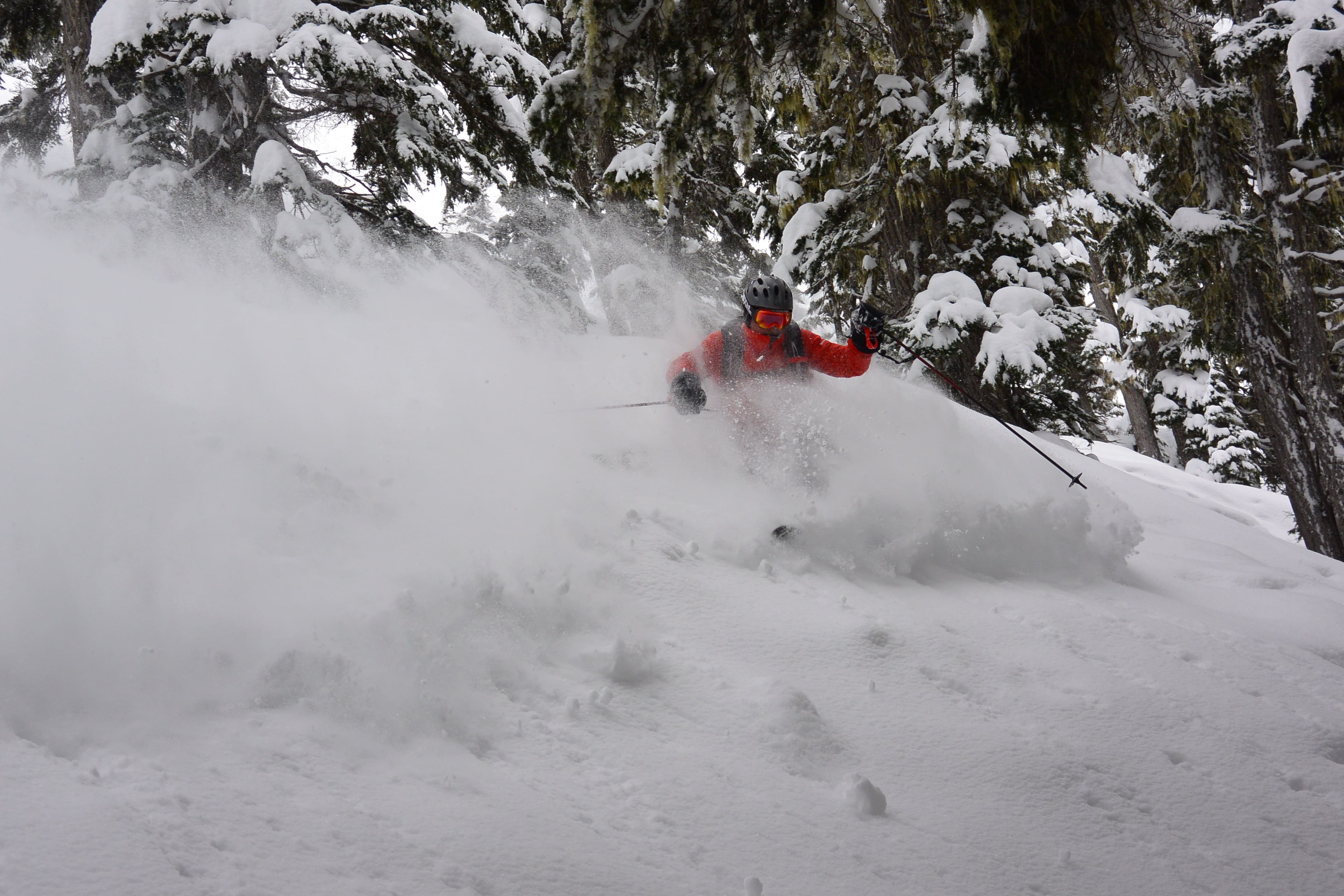 Gliding through deep powder and towering trees at Northern Escape Heliskiing—an unforgettable backcountry experience!