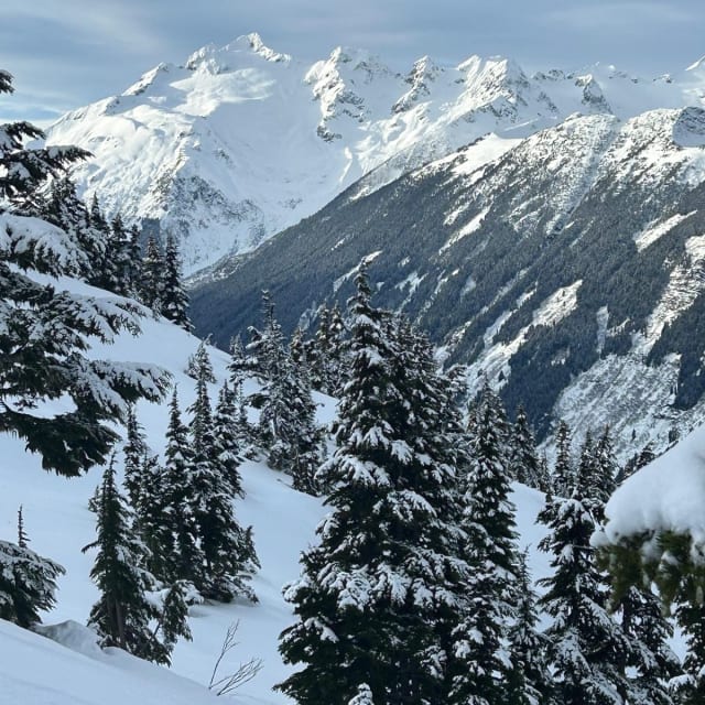 Heli-Skiing photo from December 10, 2024