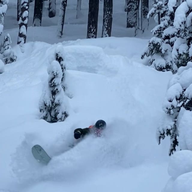 Heli-Skiing photo from December 31, 2024