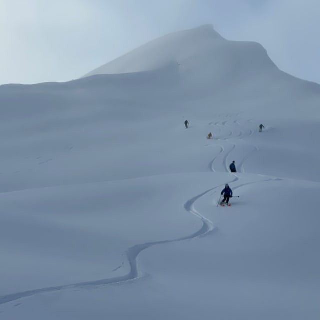Heli-Skiing photo from January 13, 2025