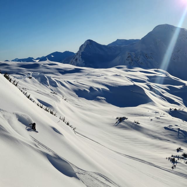 Heli-Skiing photo from January 17, 2025