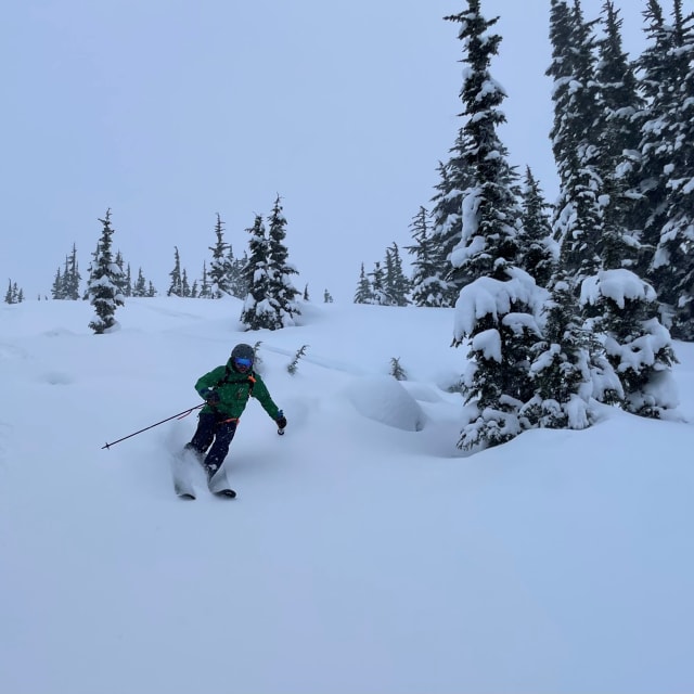 Heli-Skiing photo from January 22, 2025