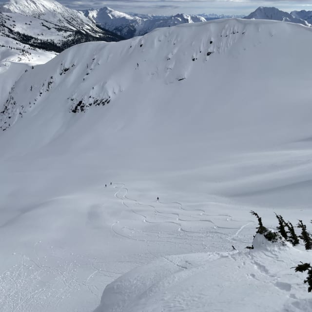 Heli-Skiing photo from January 27, 2025