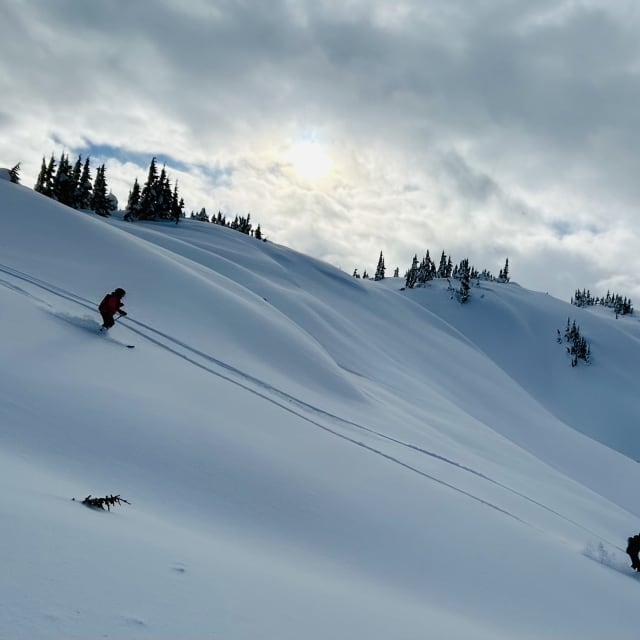 Heli-Skiing photo from January 29, 2025